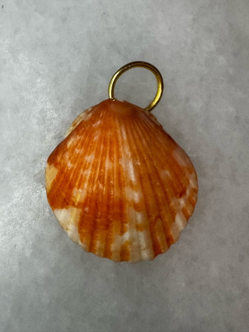 Shell Pendant Necklace - Orange Shell Charm